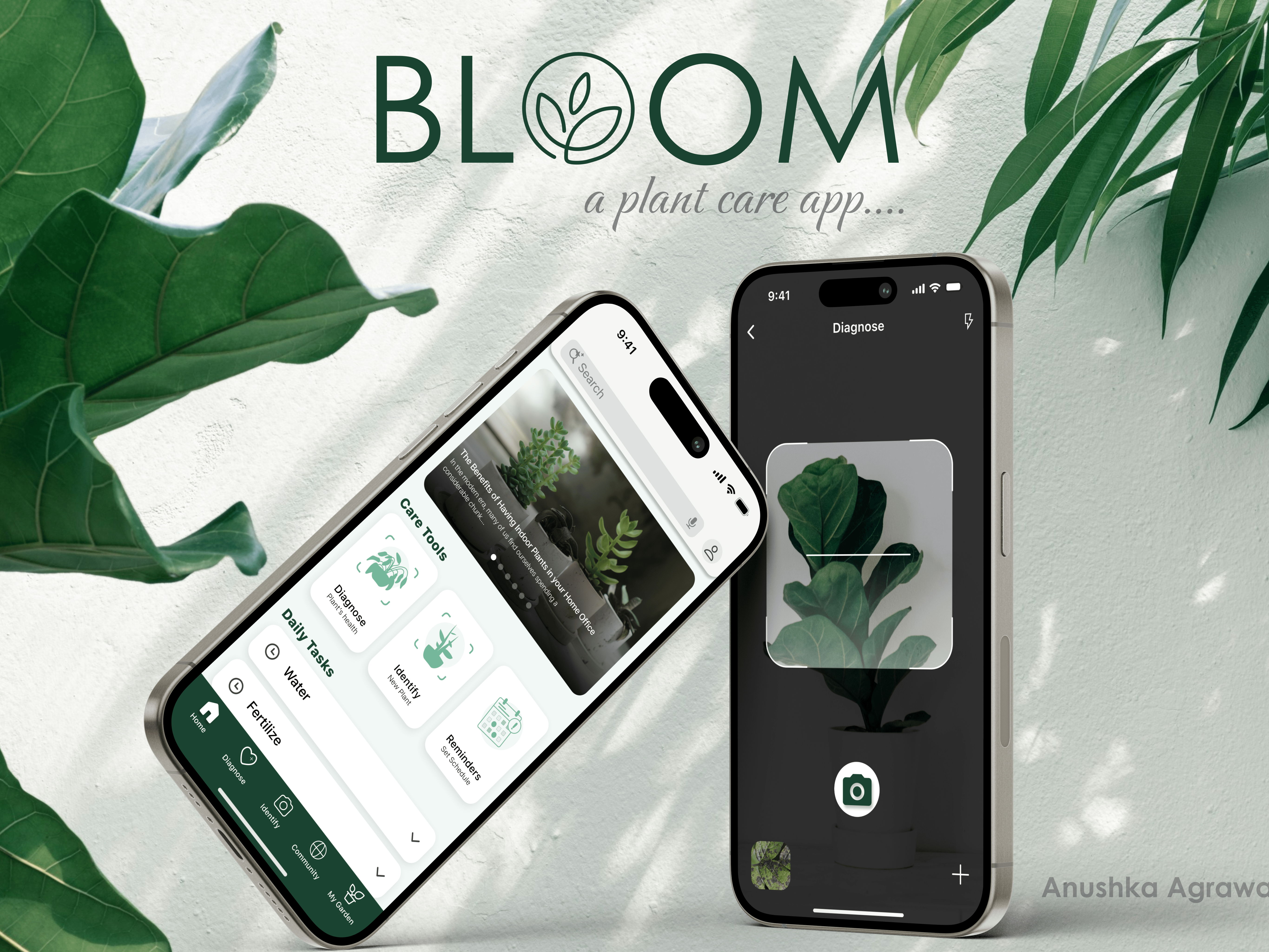 Bloom